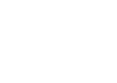 Bogner