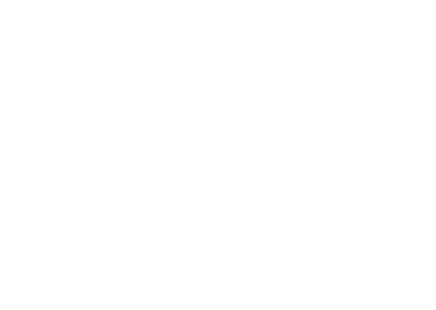JOYO