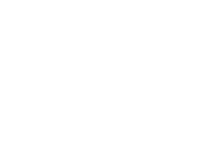 JOYO